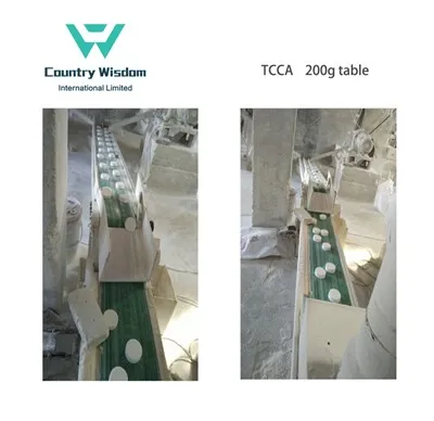 Beste kvalitet TCCA 90% klor 200g tabletter Produsent
